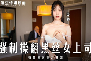 国产AV剧情-强制操翻黑丝女上司MD0289苏畅